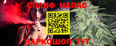 спайс Будённовск