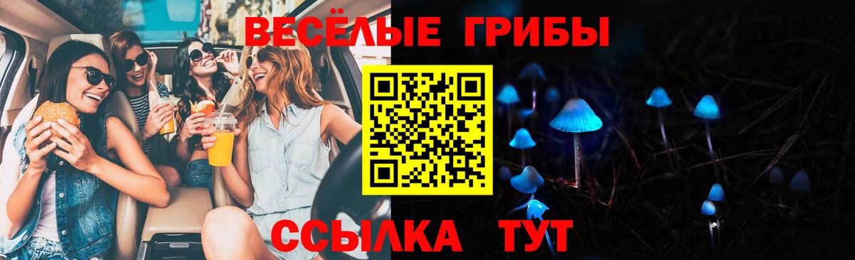 Псилоцибиновые грибы мицелий Хабаровск